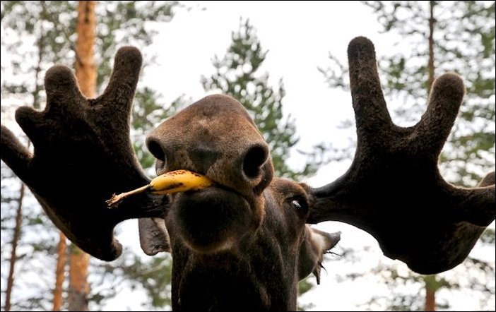 Подборка фотографий Подборка фотографий