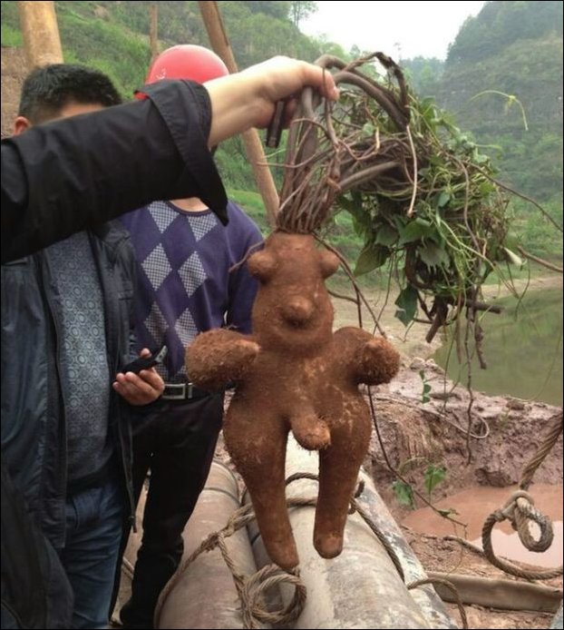 Подборка фотографий Подборка фотографий