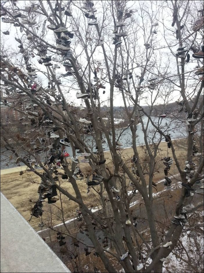 Подборка фотографий Подборка фотографий