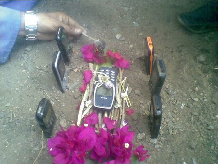 Подборка фотографий Подборка фотографий