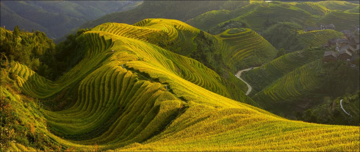 Подборка фотографий Подборка фотографий