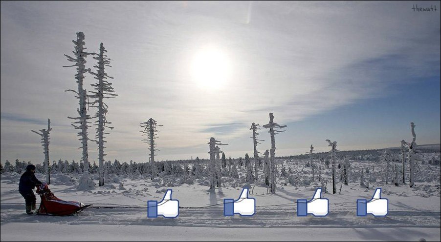 Подборка фотографий Подборка фотографий