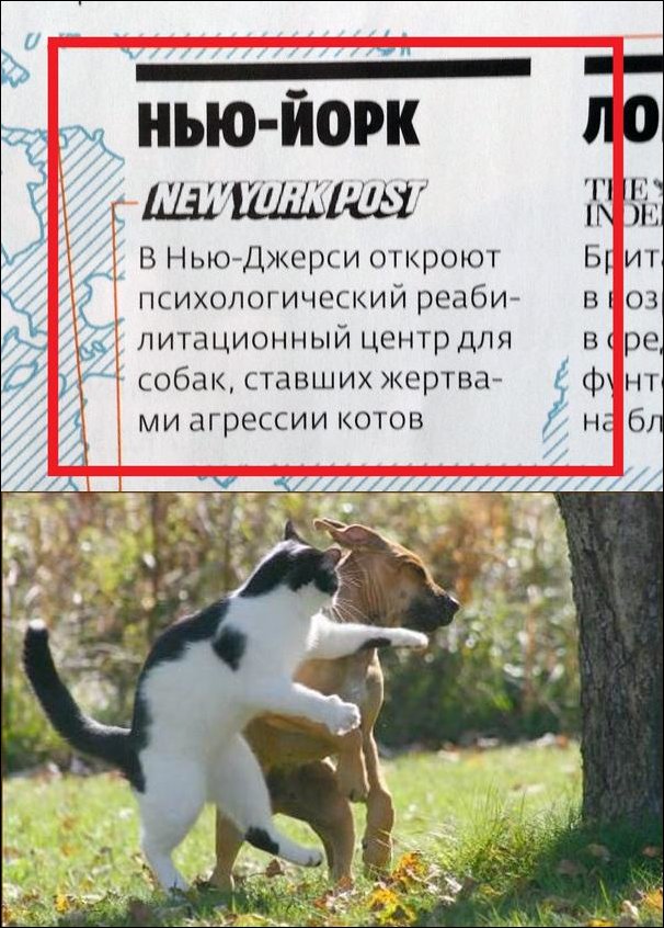 Подборка фотографий Подборка фотографий