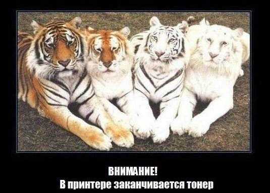 Подборка фотографий Подборка фотографий