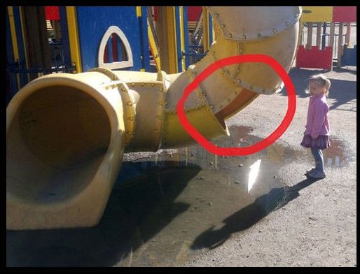 Подборка фотографий Подборка фотографий