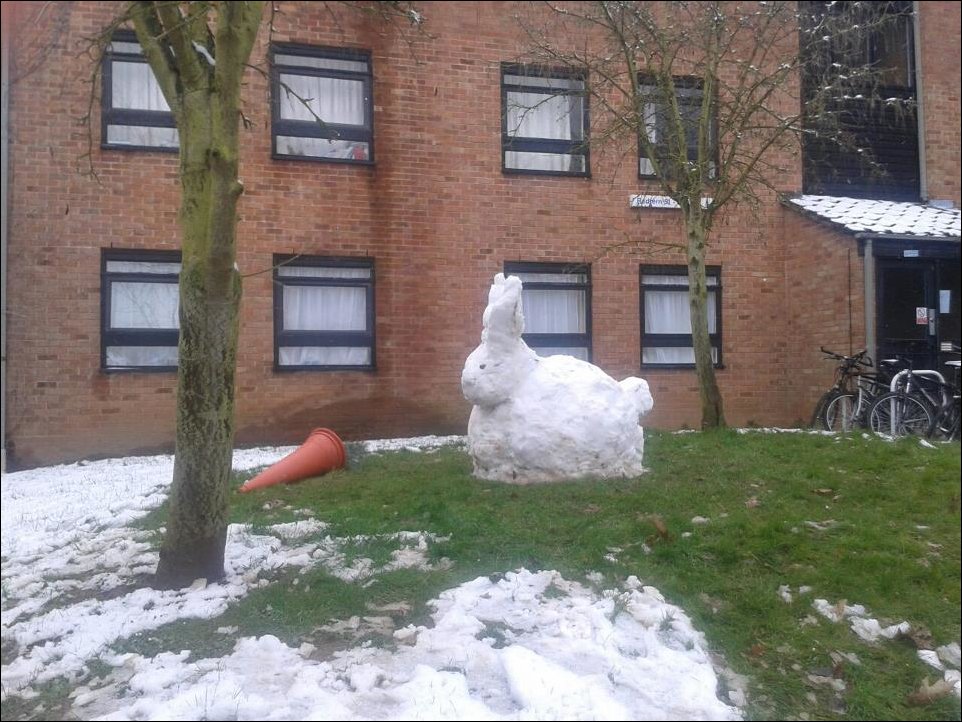 Подборка фотографий Подборка фотографий