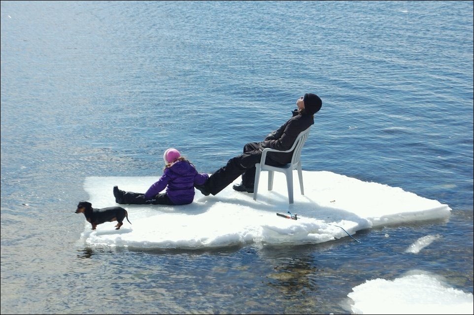 Подборка фотографий Подборка фотографий