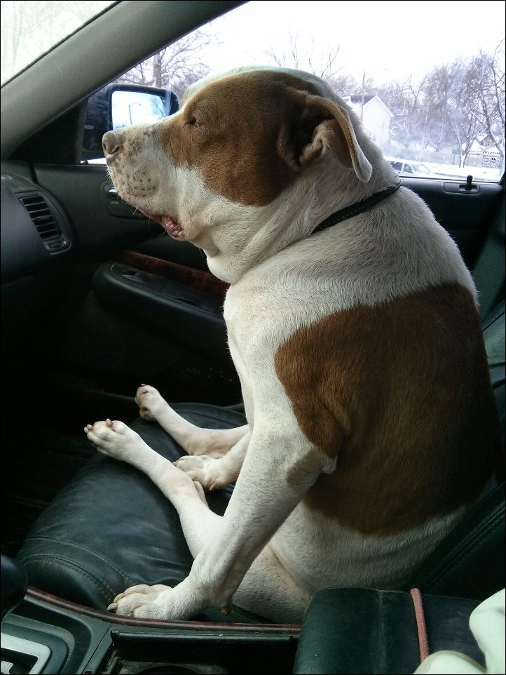 Подборка фотографий Подборка фотографий