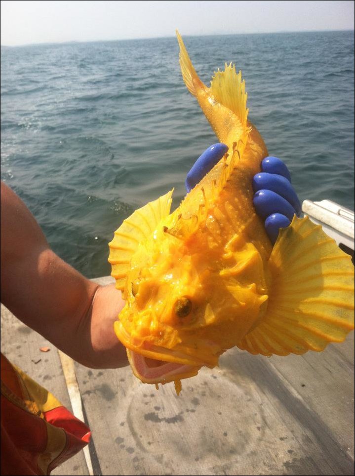 Подборка фотографий Подборка фотографий