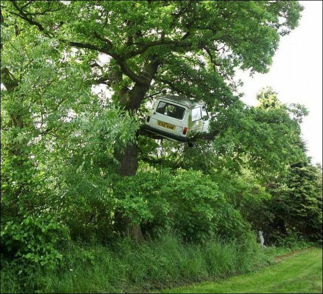 Подборка фотографий Подборка фотографий