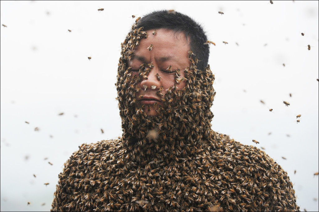 Весь покрытый пчелами