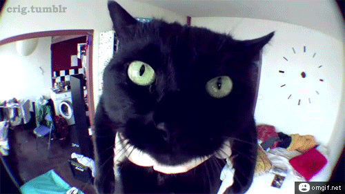 Прикольные гифки Прикольные гифки