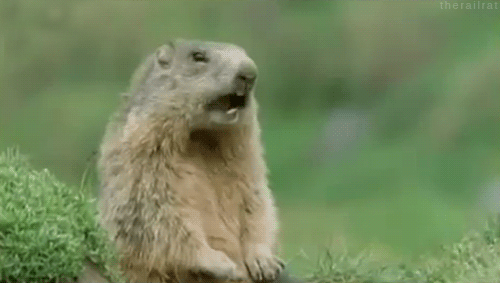 Прикольные гифки Прикольные гифки