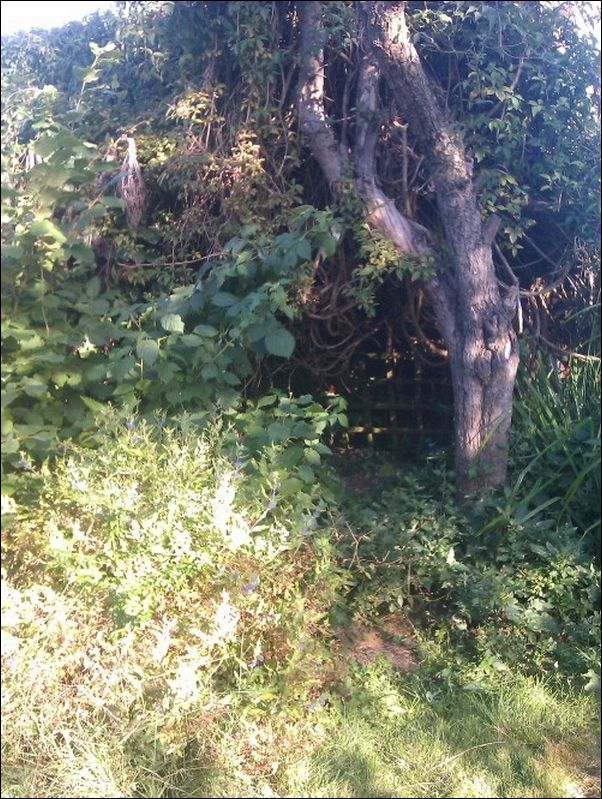 домик хоббита домик хоббита