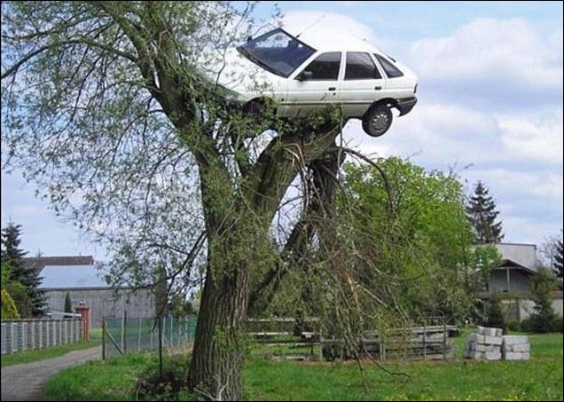 Машина на дереве