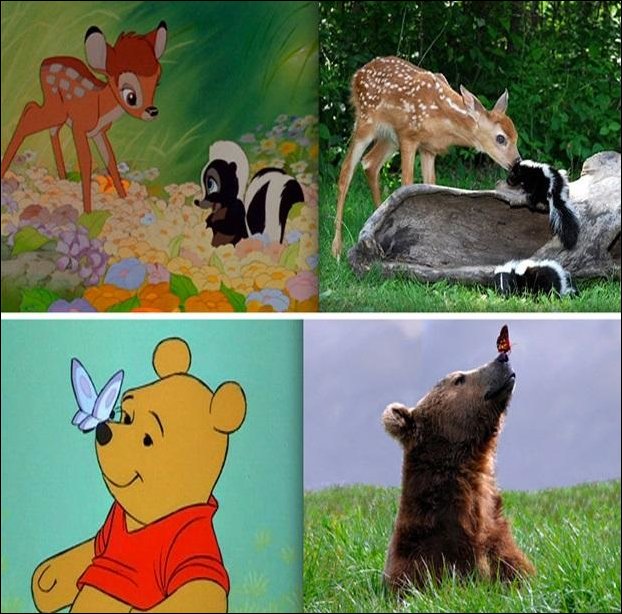 Герои мультфильмов Диснея и фото реальных животных