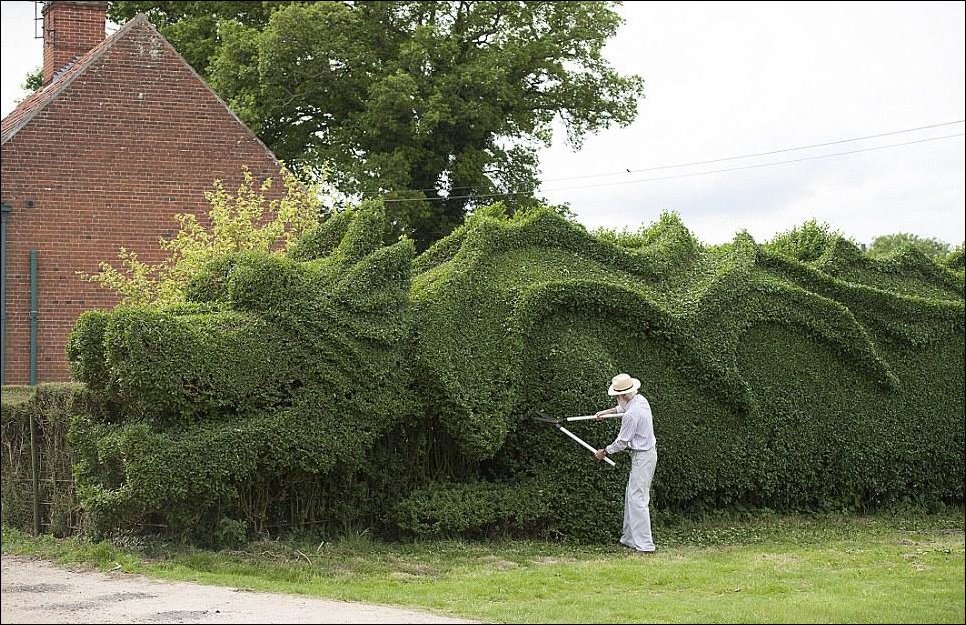 Садовник выстриг дракона