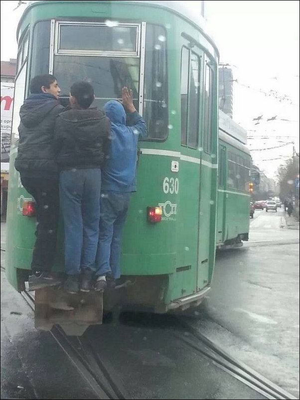 Автобусы и трамваи в Сербии