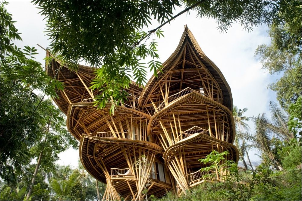 Дом из бамбука