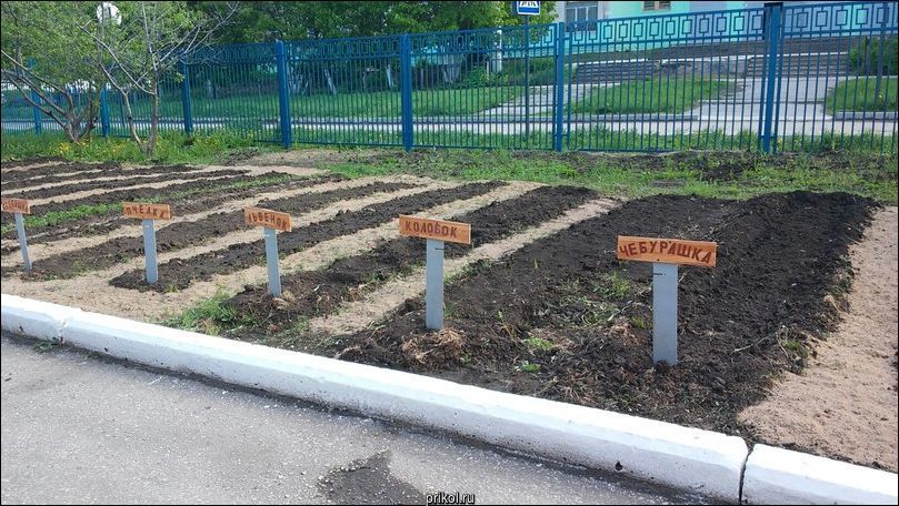 Фото приколы Фото приколы