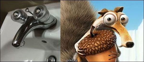 Фото приколы Фото приколы