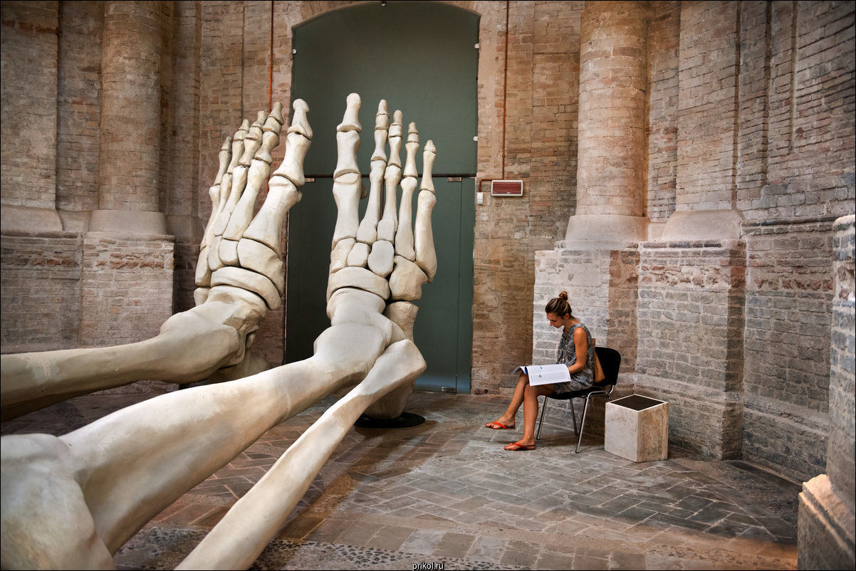 Фото приколы Фото приколы