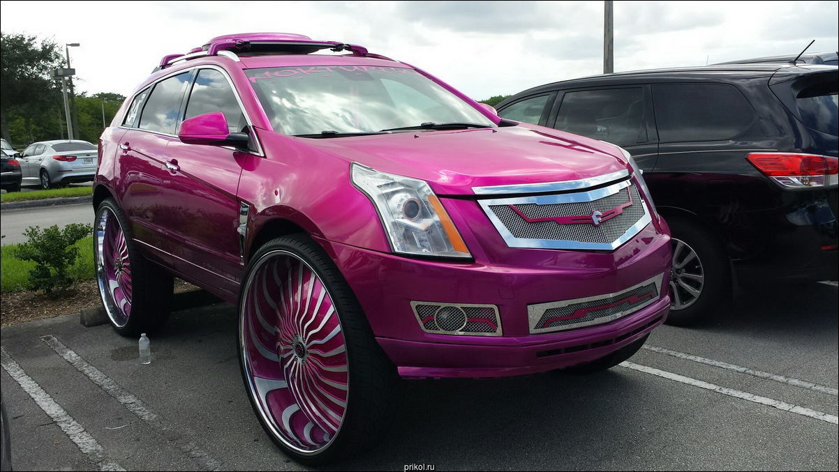 Фото приколы Фото приколы