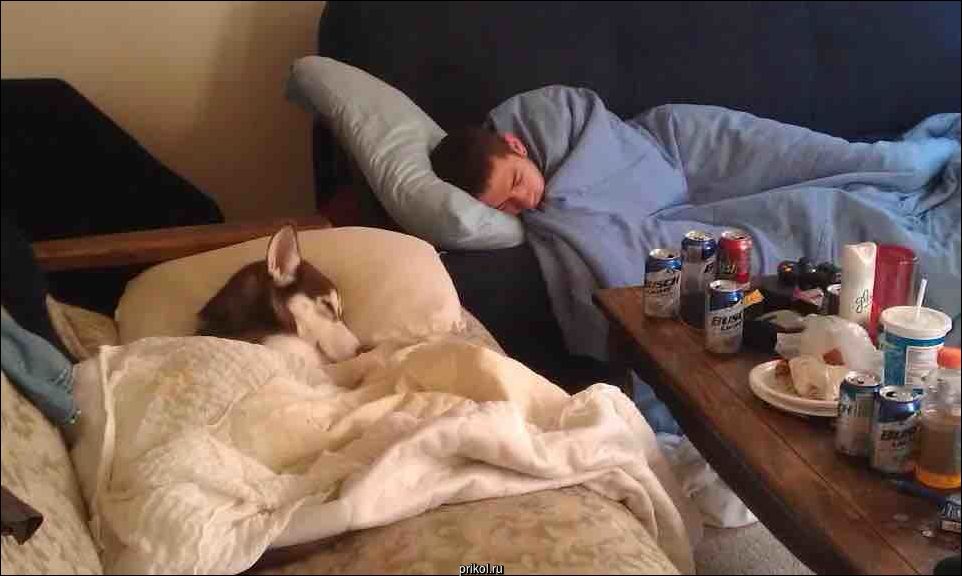 Фото приколы Фото приколы