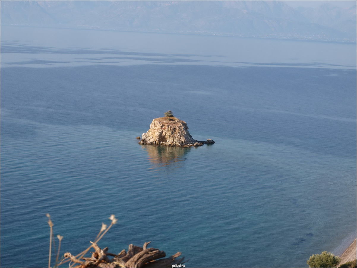 Фото приколы Фото приколы