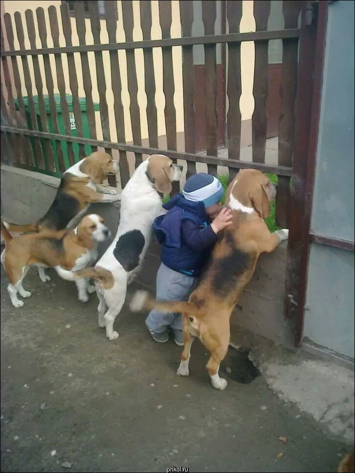 Фото приколы Фото приколы