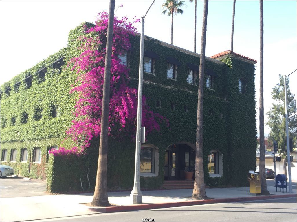 Фото приколы Фото приколы