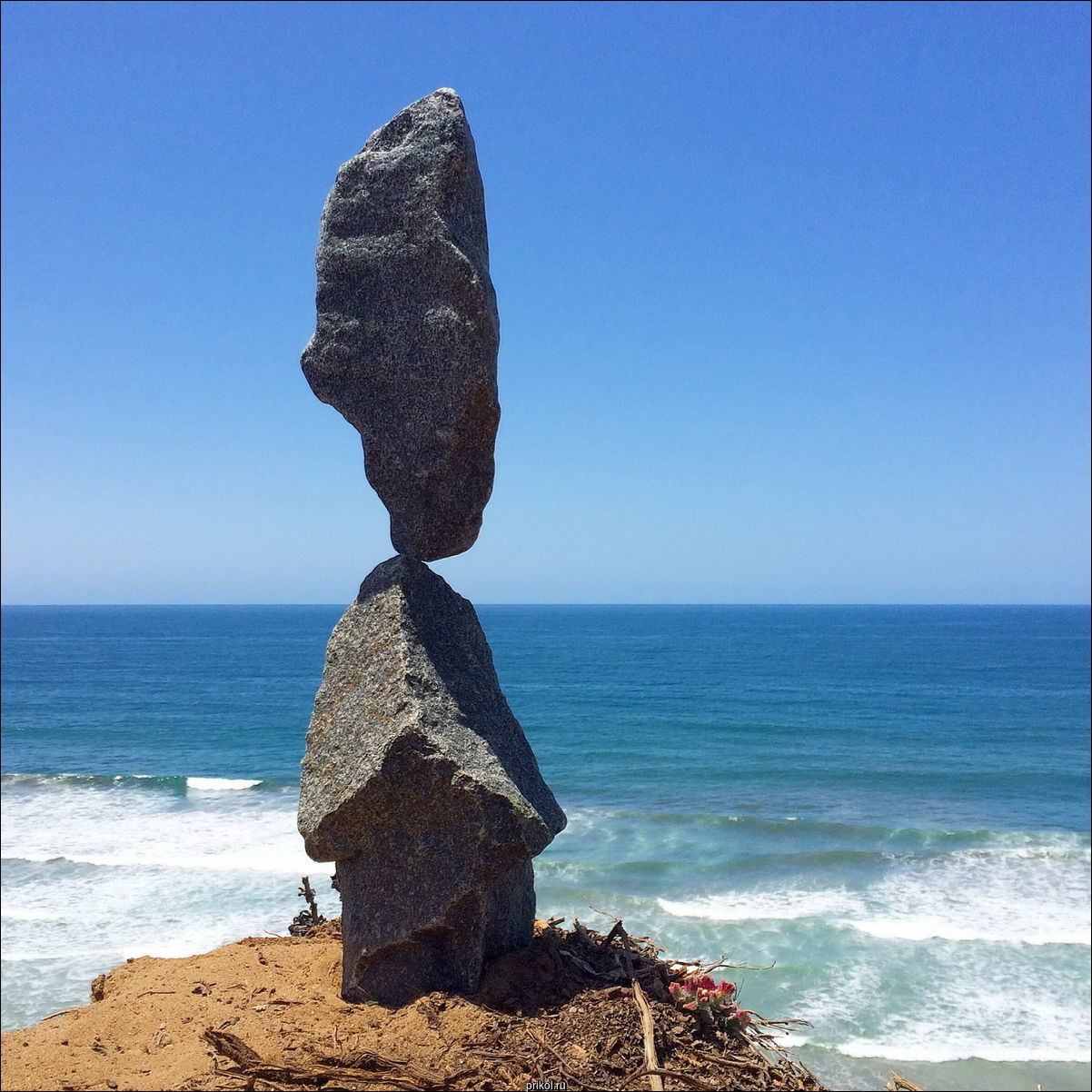 Фото приколы Фото приколы