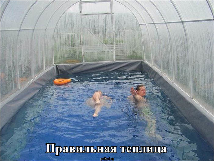 Фото приколы Фото приколы