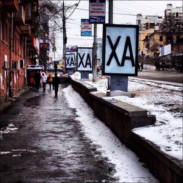 Фото приколы Фото приколы