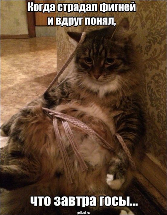 Фото приколы Фото приколы