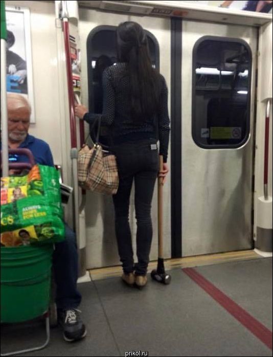 Фото приколы Фото приколы