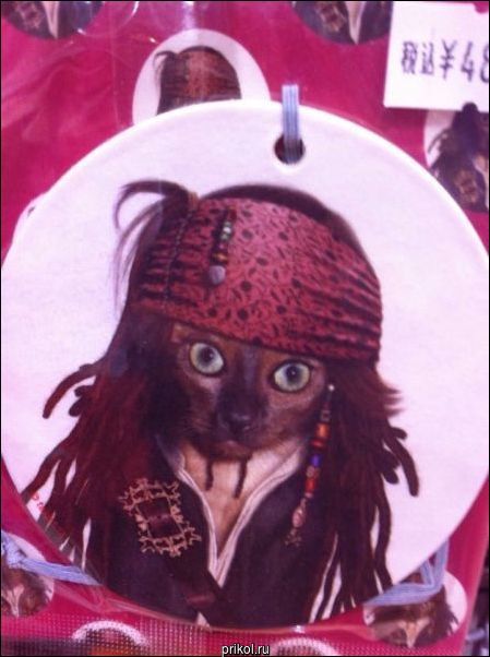 Фото приколы Фото приколы