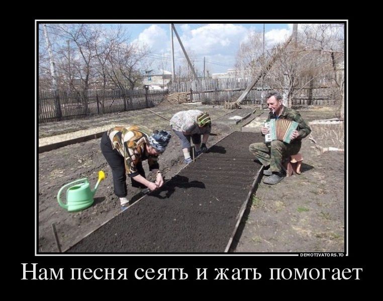 демотиваторы демотиваторы