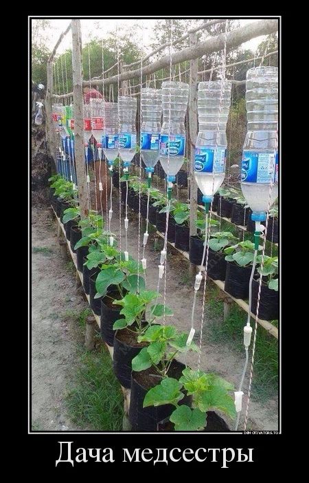 демотиваторы демотиваторы