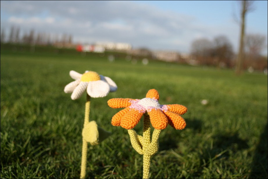 Urban Knitting Urban Knitting