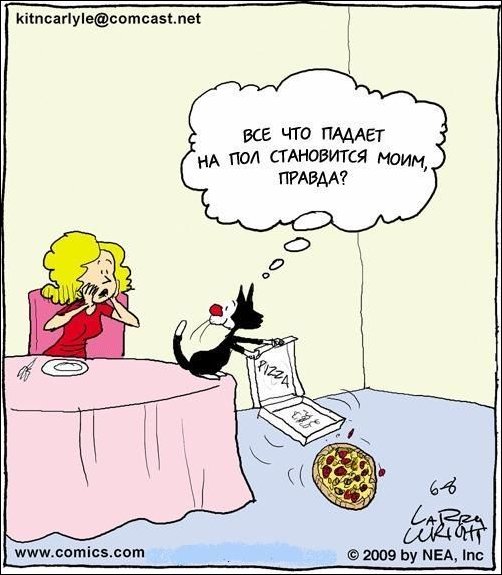 Комиксы и карикатуры Комиксы и карикатуры