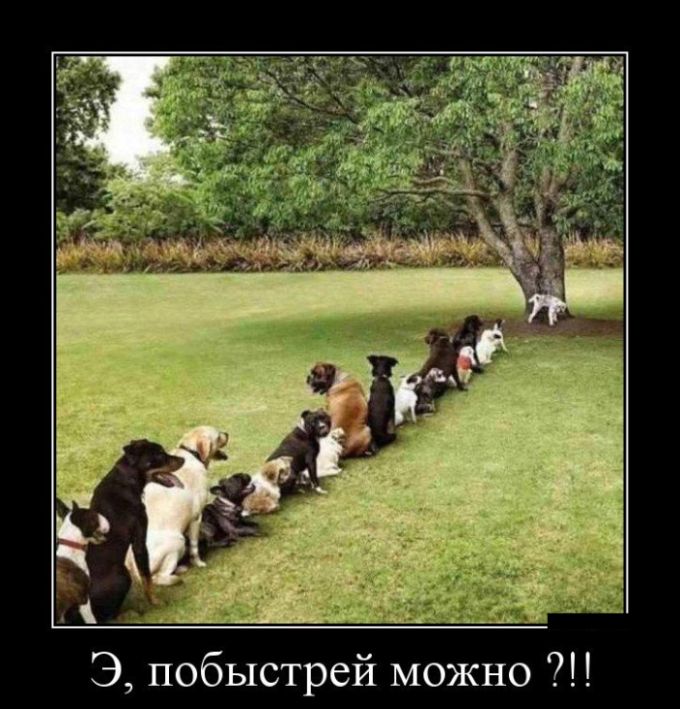 Демотиватор Демотиватор