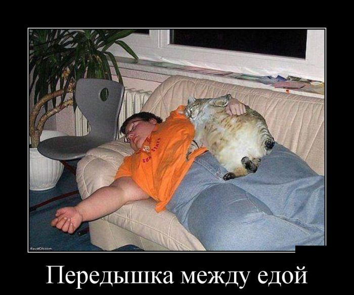 Демотиватор Демотиватор