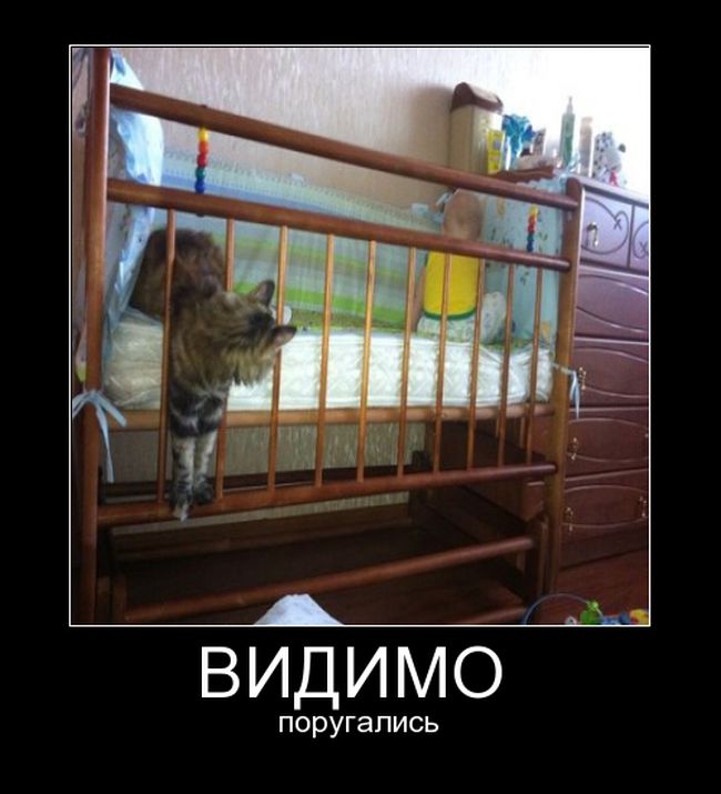 Демотиватор Демотиватор