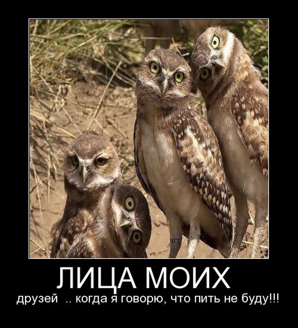 Демотиватор Демотиватор