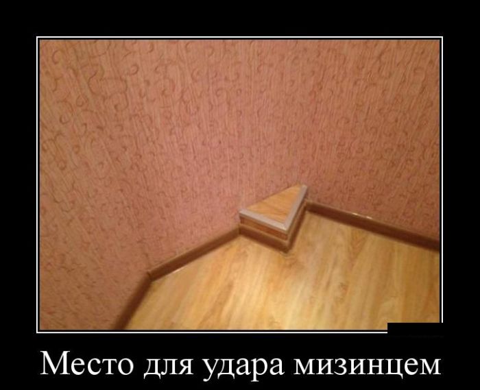 Демотиватор Демотиватор