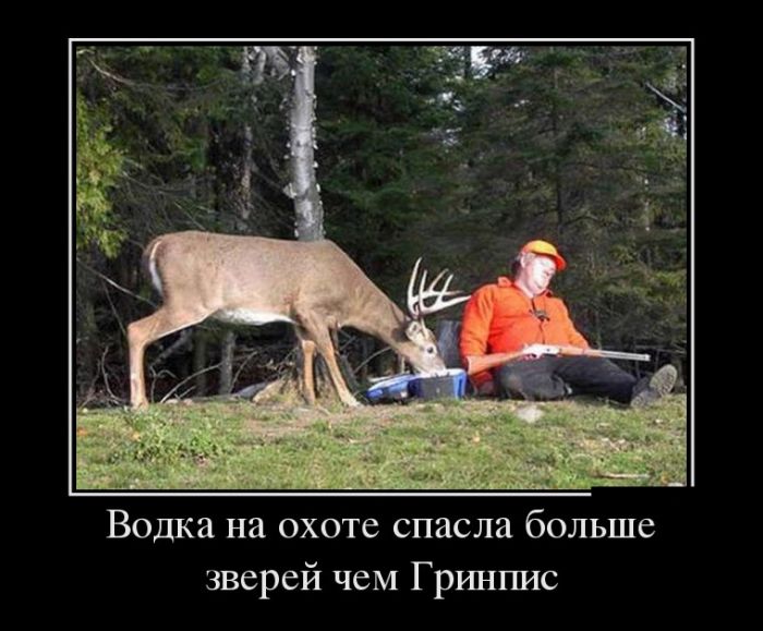 Демотиватор Демотиватор