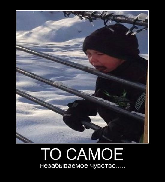 Демотиватор Демотиватор