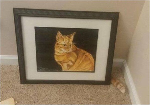 смешные коты смешные коты