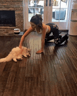 Прикольные гифки Прикольные гифки